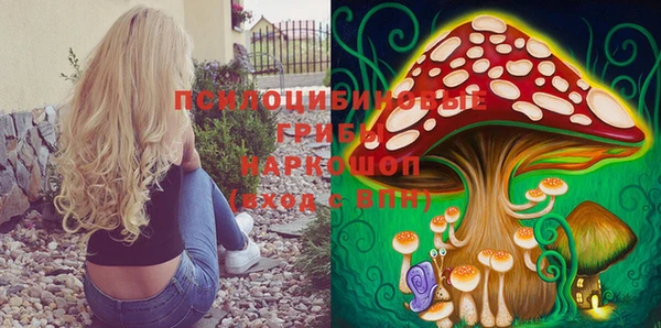 гашик Белоозёрский