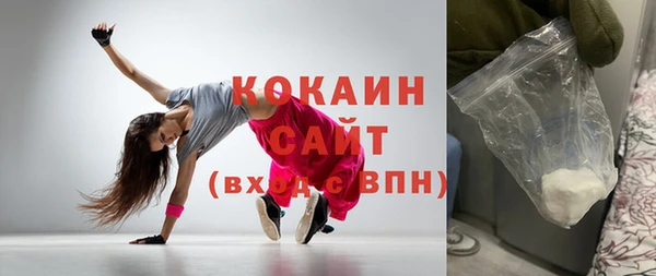 гашик Белоозёрский