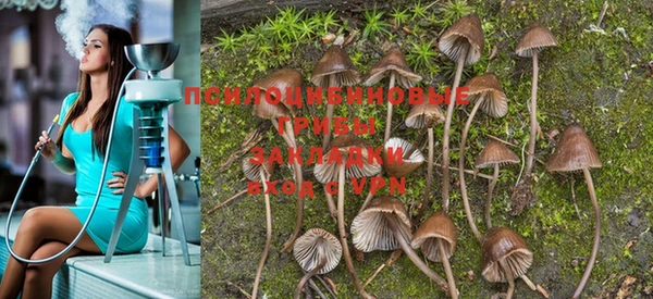 MESCALINE Богданович