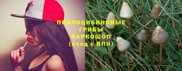 экстази Белокуриха