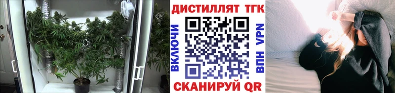 Дистиллят ТГК вейп с тгк  цены наркотик  Киселёвск 