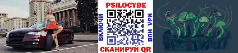 Галлюциногенные грибы Magic Shrooms  мега вход  Киселёвск  купить закладку 